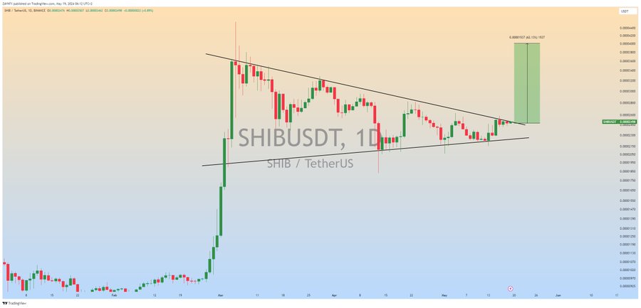 Shiba Inu Set for Major Surge: Experts Predict New Highs for SHIB Coin