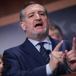 Ted Cruz Slams Idea of Automatic Airline Refunds But Senators