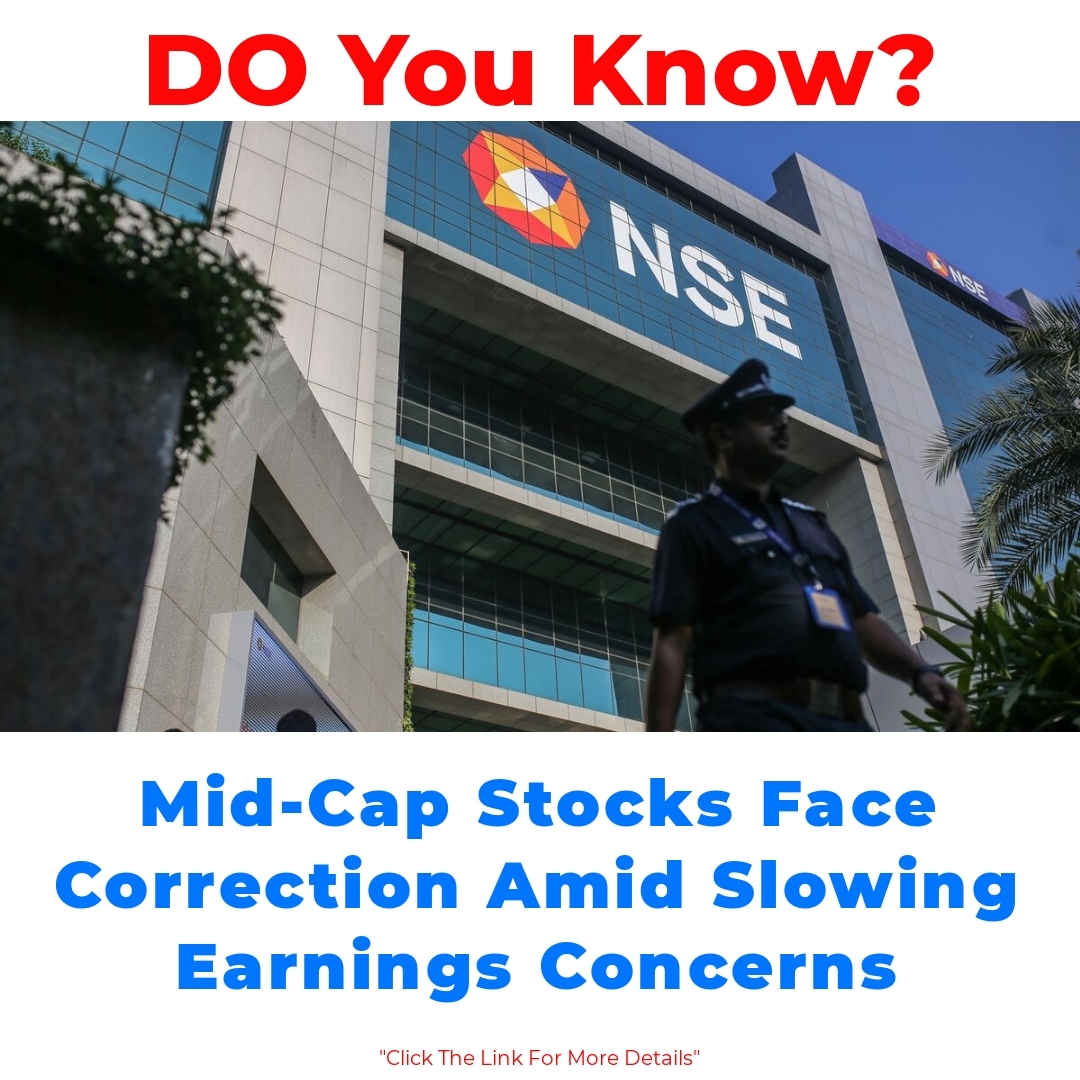 Mid-Cap Stocks Face Correction Amid Slowing Earnings Concerns