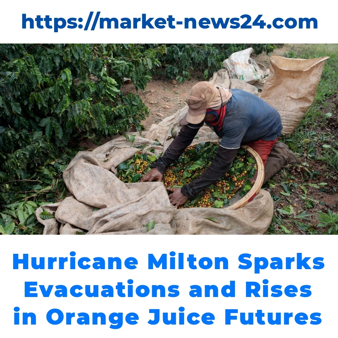 Hurricane Milton Sparks Evacuations and Rises in Orange Juice Futures