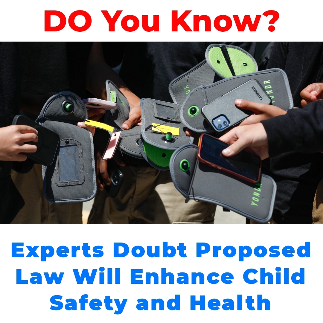 Experts Doubt Proposed Law Will Enhance Child Safety and Health