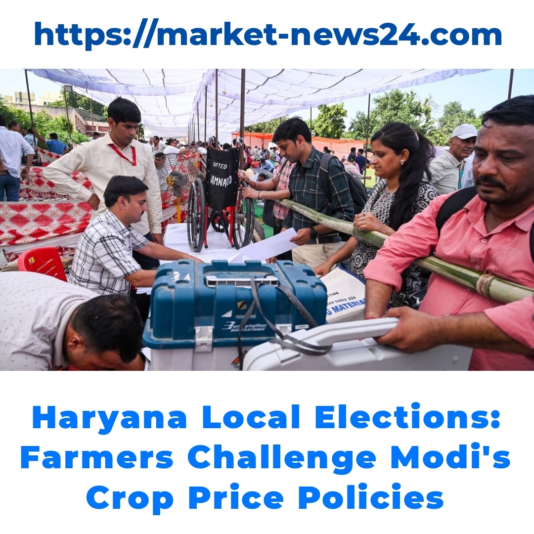 Haryana Local Elections: Farmers Challenge Modi’s Crop Price Policies