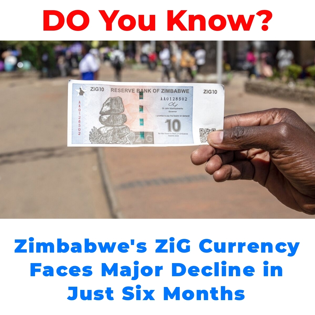 Zimbabwe’s ZiG Currency Faces Major Decline in Just Six Months