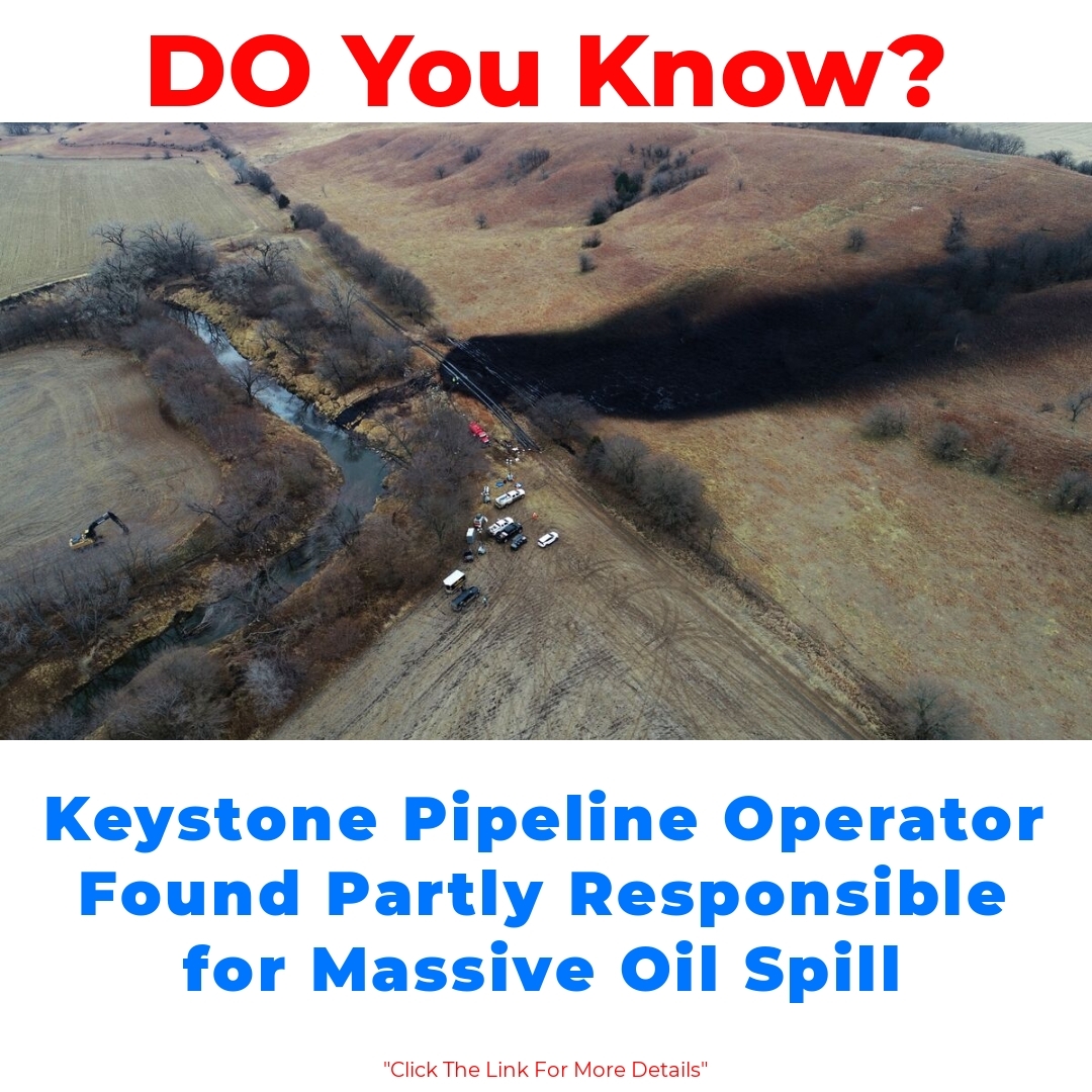 Keystone Pipeline Operator Found Partly Responsible for Massive Oil Spill