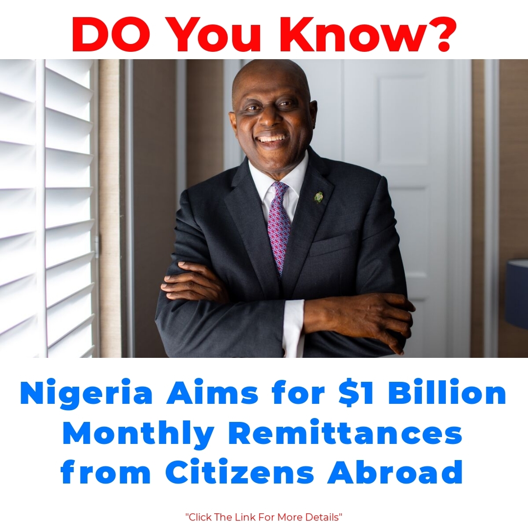 Nigeria Aims for  Billion Monthly Remittances from Citizens Abroad