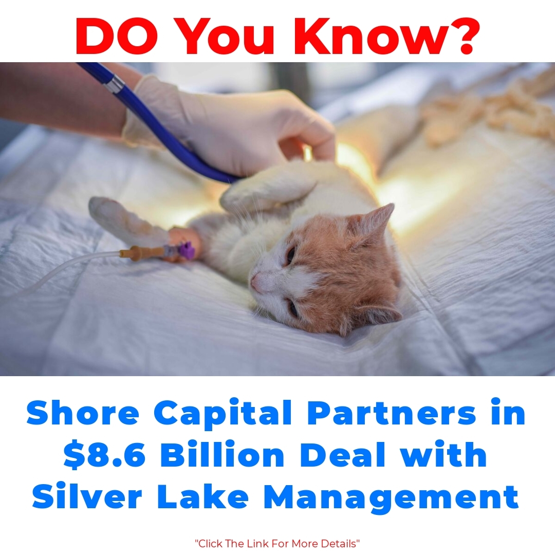 Shore Capital Partners in .6 Billion Deal with Silver Lake Management