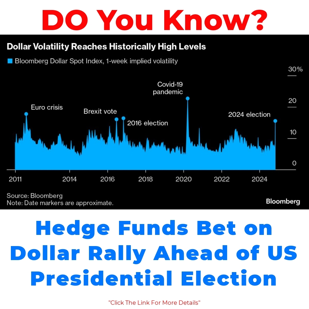 Hedge Funds Bet on Dollar Rally Ahead of US Presidential Election