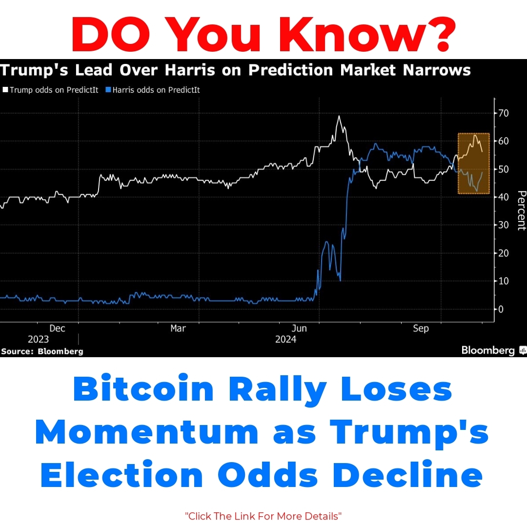 Bitcoin Rally Loses Momentum as Trump’s Election Odds Decline